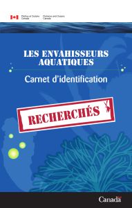 Carnet d`identification - Pêches et Océans Canada