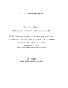 P22 : Thermodynamique Marie-Pierre Gaigeot Professeur des