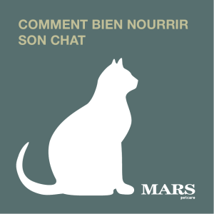 comment bien nourrir son chat - Les dossiers nutrition de Mars