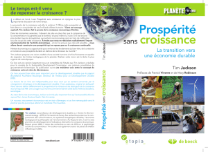 Prospérité sans croissance