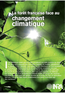 La forêt française face au changement climatique