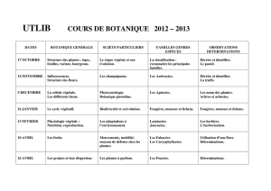 cours de botanique 2012 – 2013
