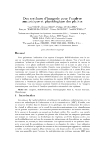 Des systèmes d`imagerie pour l`analyse anatomique et