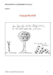 Concept PLANTE