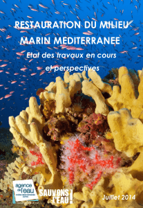 Restauration du milieu marin Méditerranée