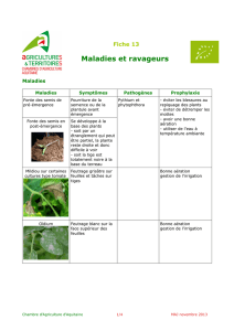 Maladies et ravageurs - Chambre d\`agriculture des Pyrénées
