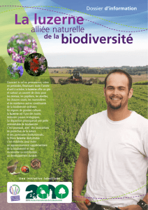 Luzerne et biodiversité