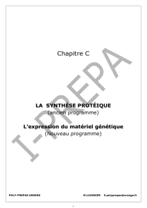 c la synthese proteique - Poly