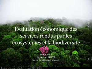 Approche économique de la biodiversité