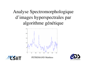 (Microsoft PowerPoint - Analyse Spectromorphologique d