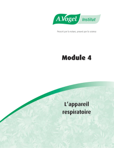 Module 4 - A.Vogel