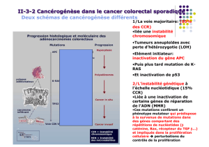 II-3-2 Cancérogénèse dans le cancer colorectal sporadique