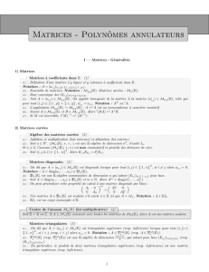 Matrices - Polynômes annulateurs - Classes préparatoires MPSI/MP