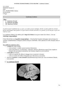 I. Le syndrome frontal