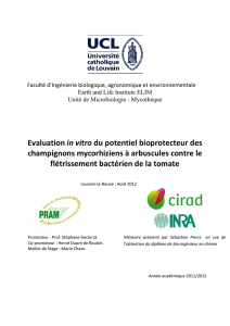 Evaluation in vitro du potentiel bioprotecteur des champignons