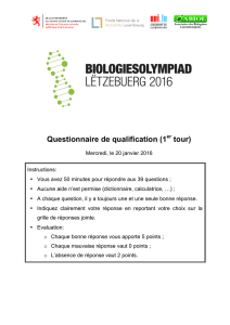 Questionnaire de qualification (1 tour)