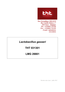 Lactobacillus gasseri THT 031301 LMG 26661