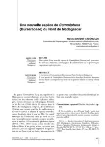 Télécharger l`article complet au format PDF