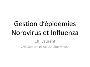 Germes hospitaliers - CHU Dinant Godinne