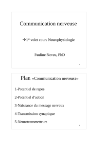 Communication nerveuse