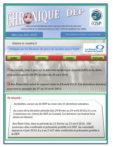 DEP - Les Éleveurs de porcs du Québec