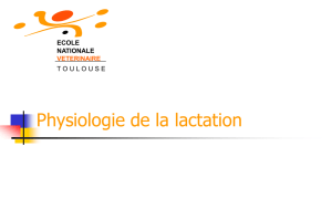 La lactation - Physiologie et Thérapeutique Ecole Véto Toulouse