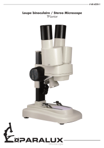 Microscope Loupe binoculaire / Stereo Microscope TP