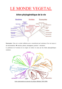 2. Le monde végétal