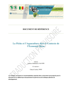 La P&ecirc;che et l`Aquaculture dans le Contexte de l`&Eacute;conomie Bleue