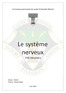 Le système nerveux