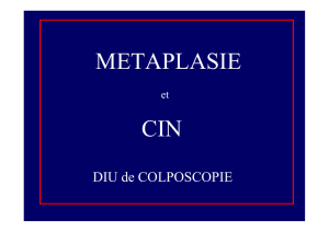 Metaplasie et CIN