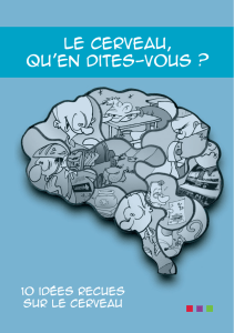 Le cerveau, qu`en dites-vous - ECHOSCIENCES