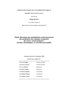 Etudes th&eacute;oriques des modulations centre/ pourtour