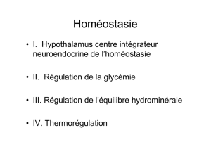 Hom&eacute;ostasie