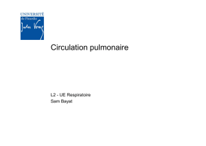 Circulation pulmonaire