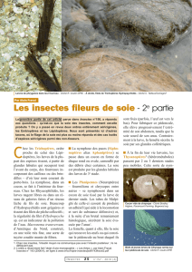 Les insectes fileurs de soie II / Insectes n° 157