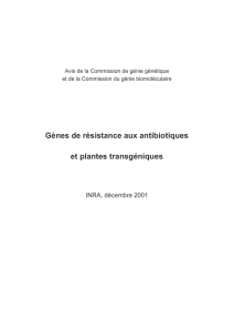 Gènes de résistance aux antibiotiques et plantes transgéniques