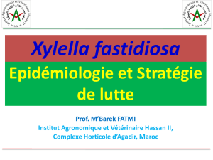 Xylella Fastidiosa: Epidémiologie et Stratégie de lutte