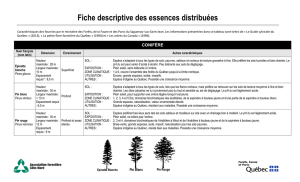 Fiche descriptive des arbres