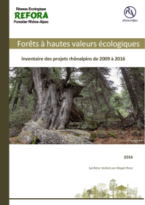 Forêts à hautes valeurs écologiques