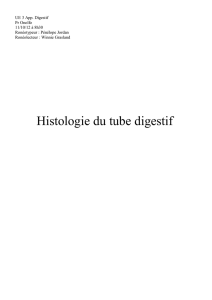 Histologie du tube digestif - Cours L3 Bichat 2012-2013