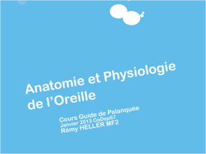 Anat-Physio oreille GP-N4 2013-2014