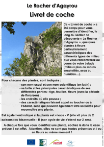 Le Rocher d`Agayrou Livret de coche