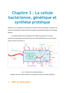 Chapitre 3 : La cellule bactérienne, génétique et