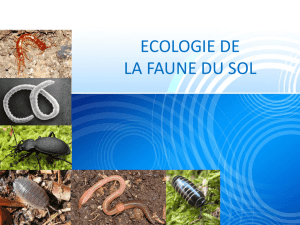 160114_Ecologie de la faune du sol