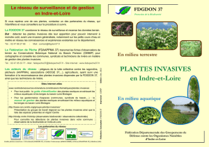 PLANTES INVASIVES en Indre-et-Loire