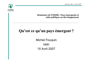 Michel Fouquin Iddri 10 Avril 2007