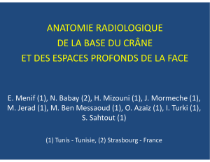 Anatomie radiologique de la base du crâne et des espaces