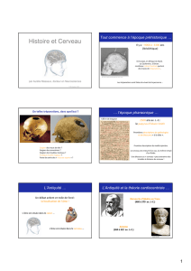Histoire et Cerveau - UTL