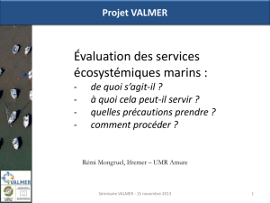 Évaluation des services écosystémiques marins :